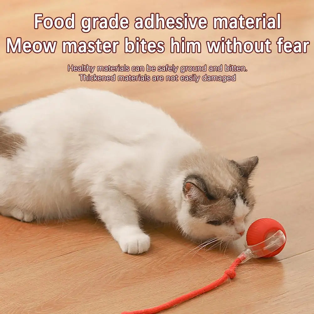 Rechargeable Automatic Cat Ball Toy – Smart Rolling Ball with Faux Tail for Interactive Play