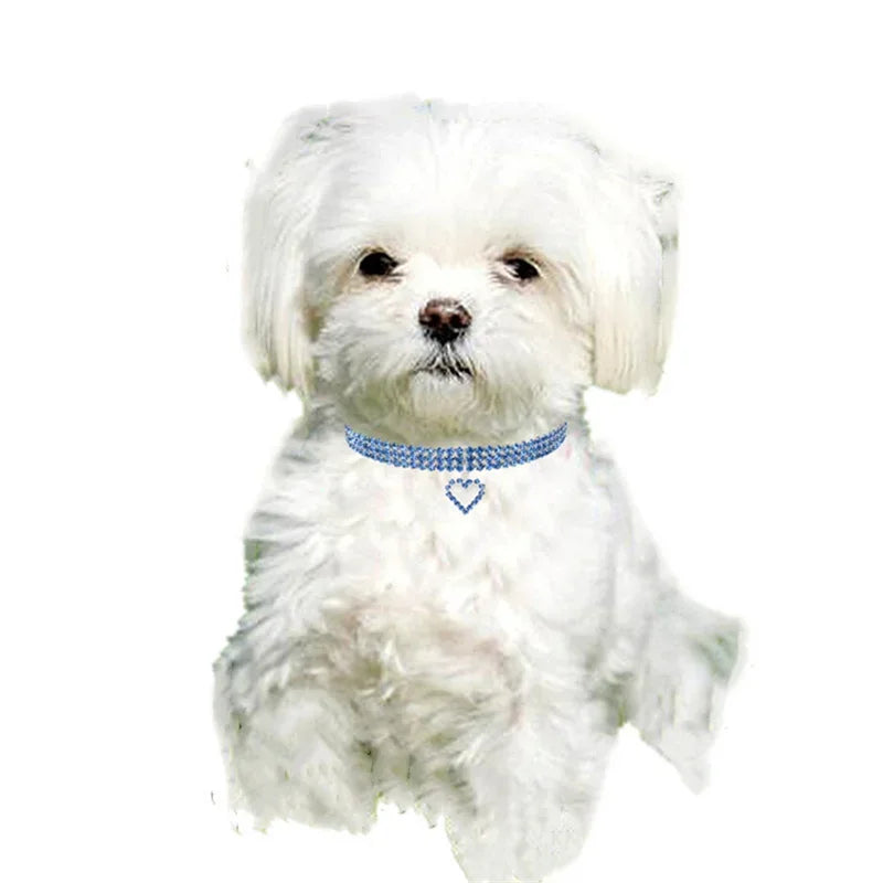 Bling Rhinestone Dog Collar – Crystal Pet Collar for Small and Medium Dogs