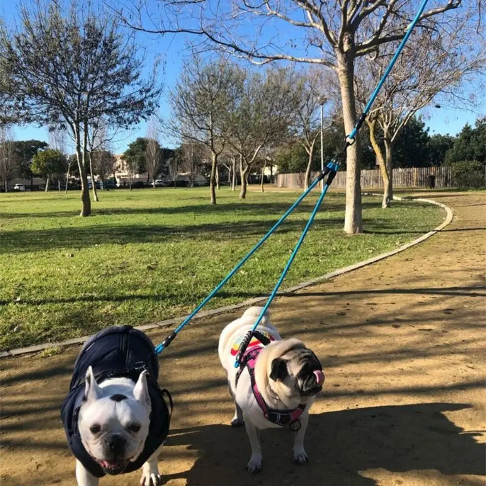 2/3/4 Way Dog Leash with Foam Handle – Durable 120cm Nylon Detachable Multi-Dog Leash for Walking & Training