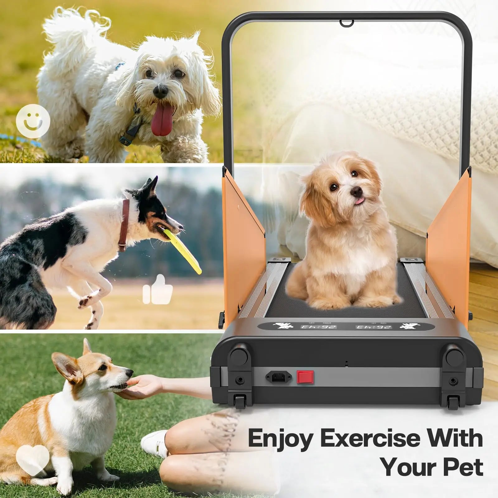 2.5HP Foldable Dog Treadmill – Indoor Running Machine for Small & Medium Dogs (Up to 220 lbs)