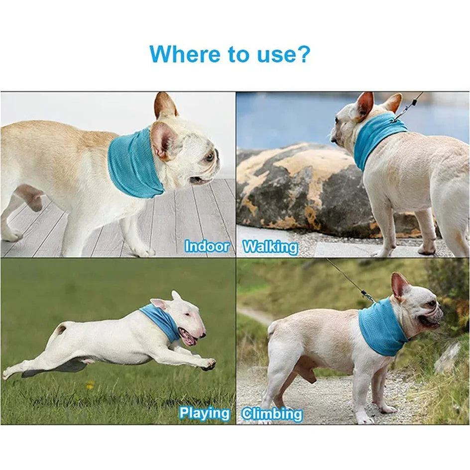 Summer Ice Dog Collar Reusable Physical Instant Cooling Bandana with Leash Hole Prevent Heat Stroke Outdoor Breathable Pet Scarf