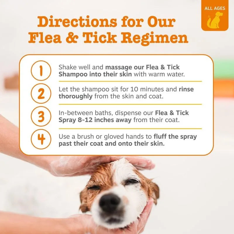 Zesty Paws Flea & Tick Soothing Deodorizing Shampoo for Dogs – 16 fl oz | Veterinary-Formulated Pest Defense & Skin Relief