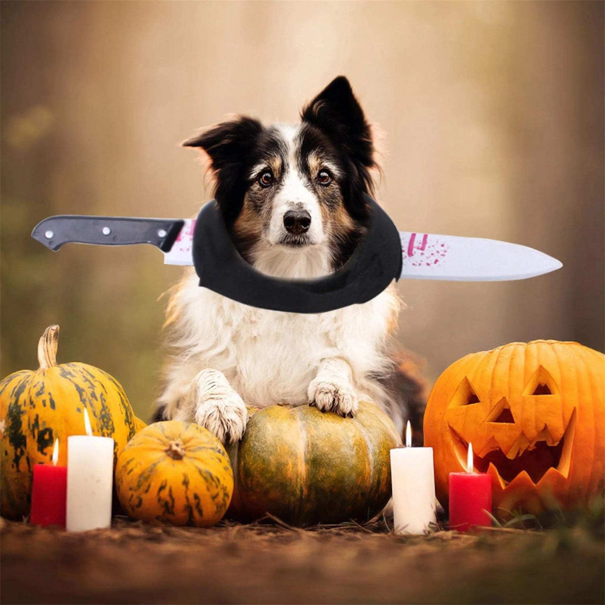 Funny Shark Hat Costume – Halloween Pet Outfit for Small Dogs & Cats