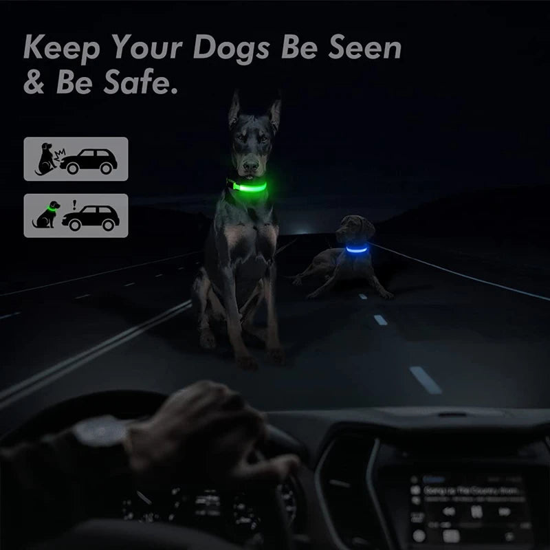 LED Luminous Dog Collar – Adjustable USB Rechargeable Glowing Pet Collar, Anti-Lost & Safety Flashing Light