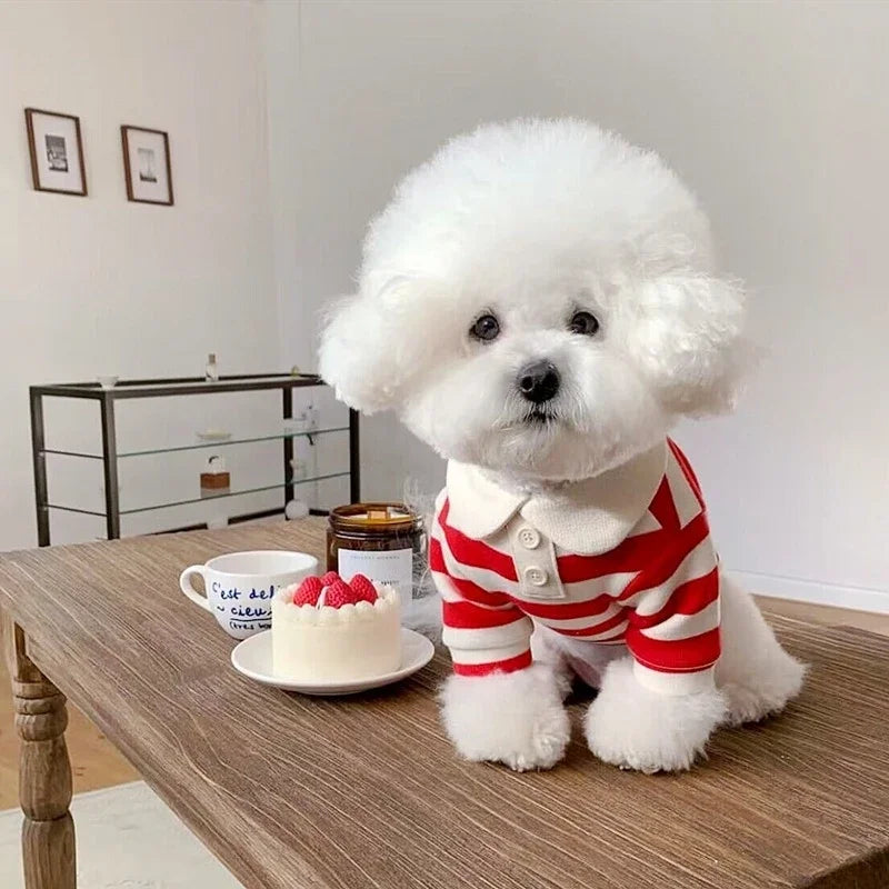 ๐ถ Summer Polo Shirt for Dogs โ Lightweight, Stylish Cooling Shirt for Small & Medium Breeds