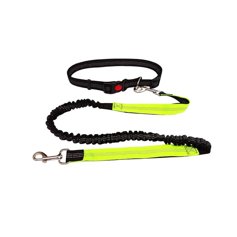 Hands-Free Dog Leash with Waist Belt – Adjustable for Walking, Running & Jogging