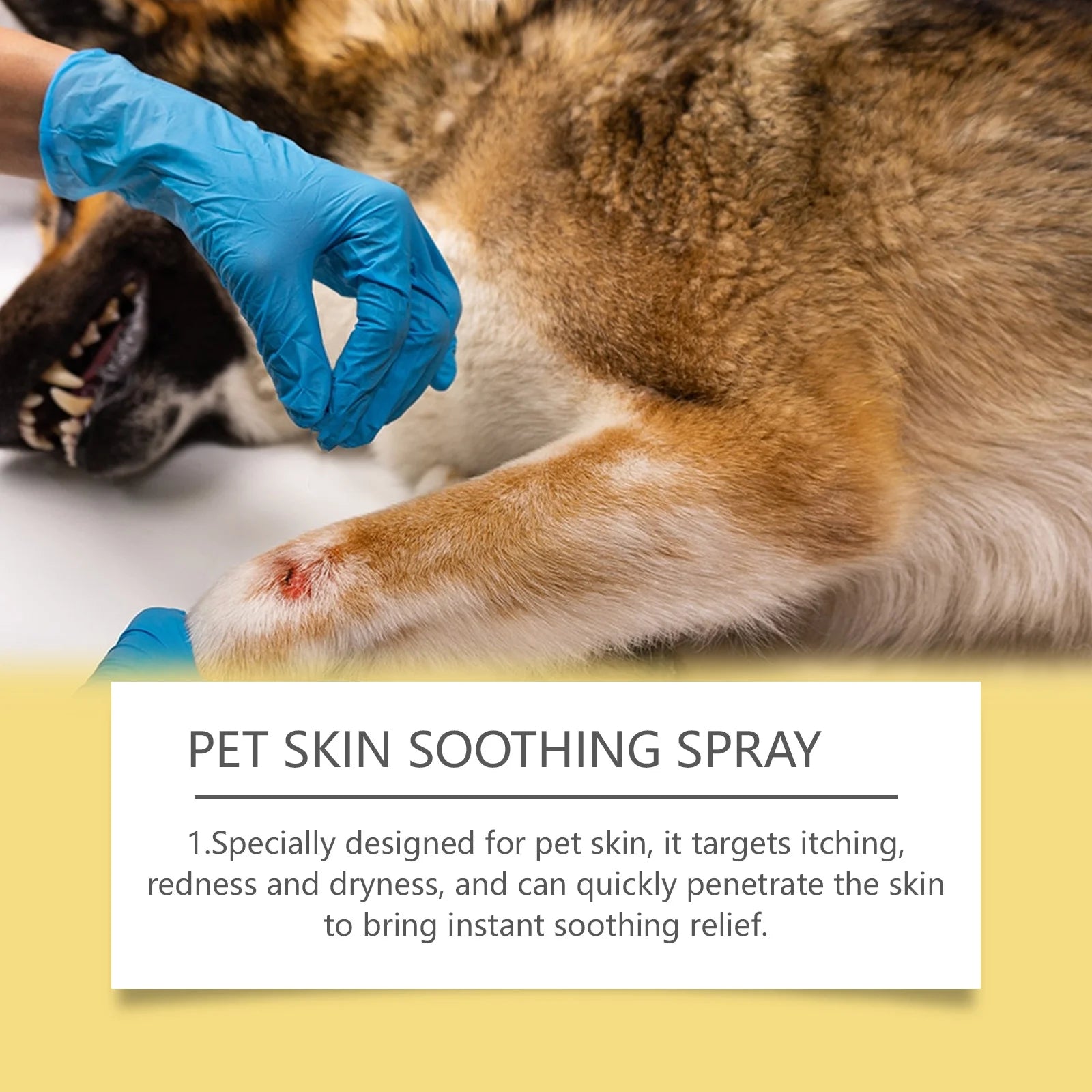 Pet Skin Care Spray – Relieves Itching & Discomfort, Flea & Lice Control, Wound Care for Dogs & Cats, Portable Grooming Spray