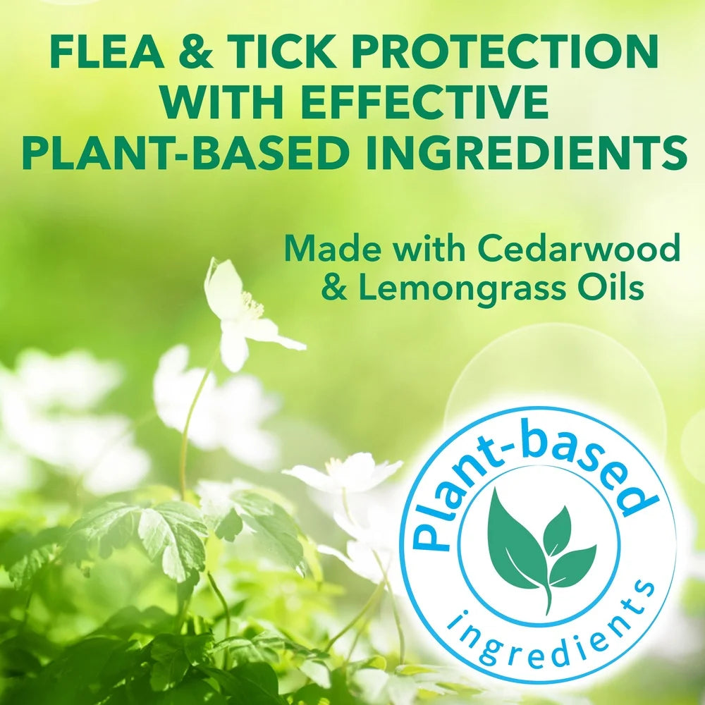 Natural Flea & Tick Dog Shampoo – Plant Extracts, Mosquito Repellent, Nourishing Coat, Safe for Pets & Kids, 14oz