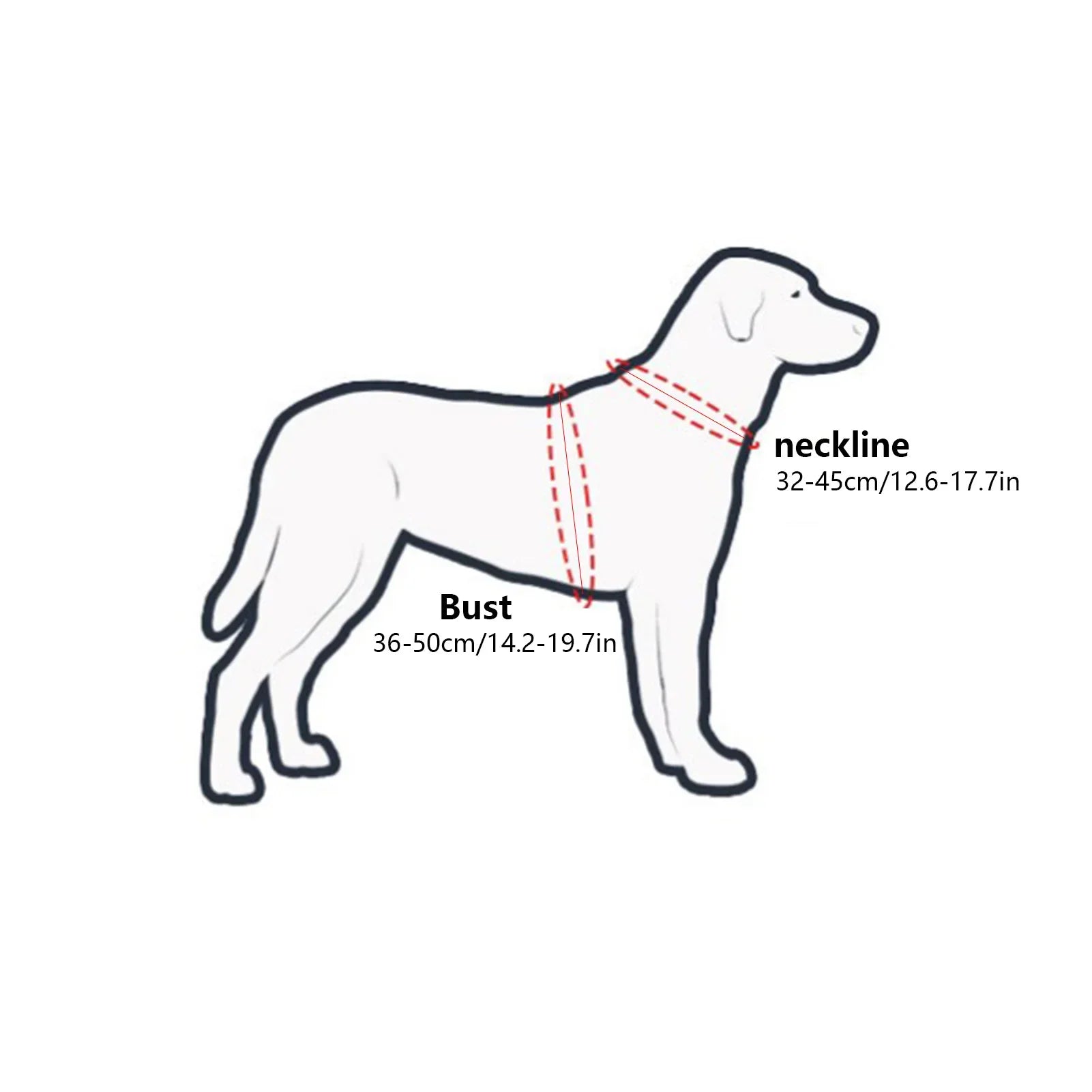 Pet Blind Halo Harness – Lightweight Collision-Avoidance Device with Reflective Strips for Visually Impaired Dogs & Cats