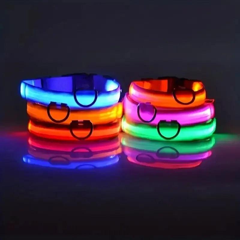 LED Dog Leash & Collar – Nylon Glow-in-the-Dark Safety Set for Night Walks