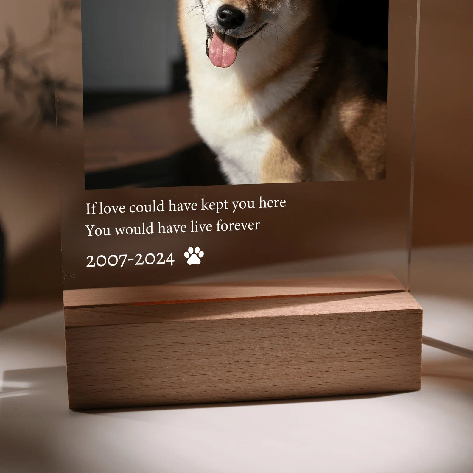 Personalized Pet Picture Plaque – Custom LED Acrylic & Wooden Stand Photo Board, Memorial Gift for Dogs & Cats