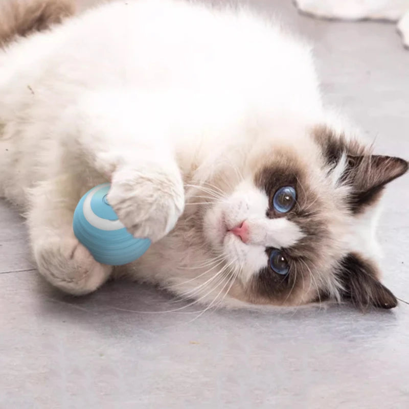 Automatic Rolling Cat Ball – Self-Moving Electric Toy for Kitten Play and Training