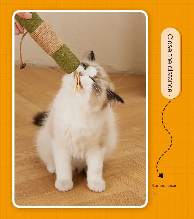 Silvervine Chew Sticks for Cats – Natural Catnip Dental Toy, Teeth Cleaning & Chewing Treats for Kittens & Adult Cats