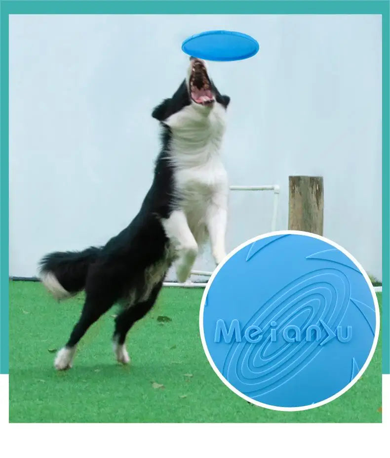 OUZEY Bite-Resistant Flying Disc Toy – Durable Interactive Dog Toy for Outdoor Training & Play