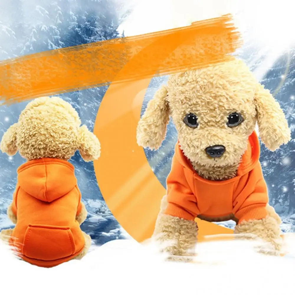 Puppy Pet Hooded Sweatshirt – Two-Legged Autumn/Winter Outfit with Pocket for Cats & Dogs