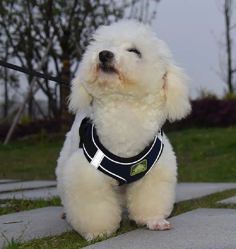 Reflective Pet Harness and Leash Set – No Pull Dog Vest with Breathable Mesh for Dogs & Cats