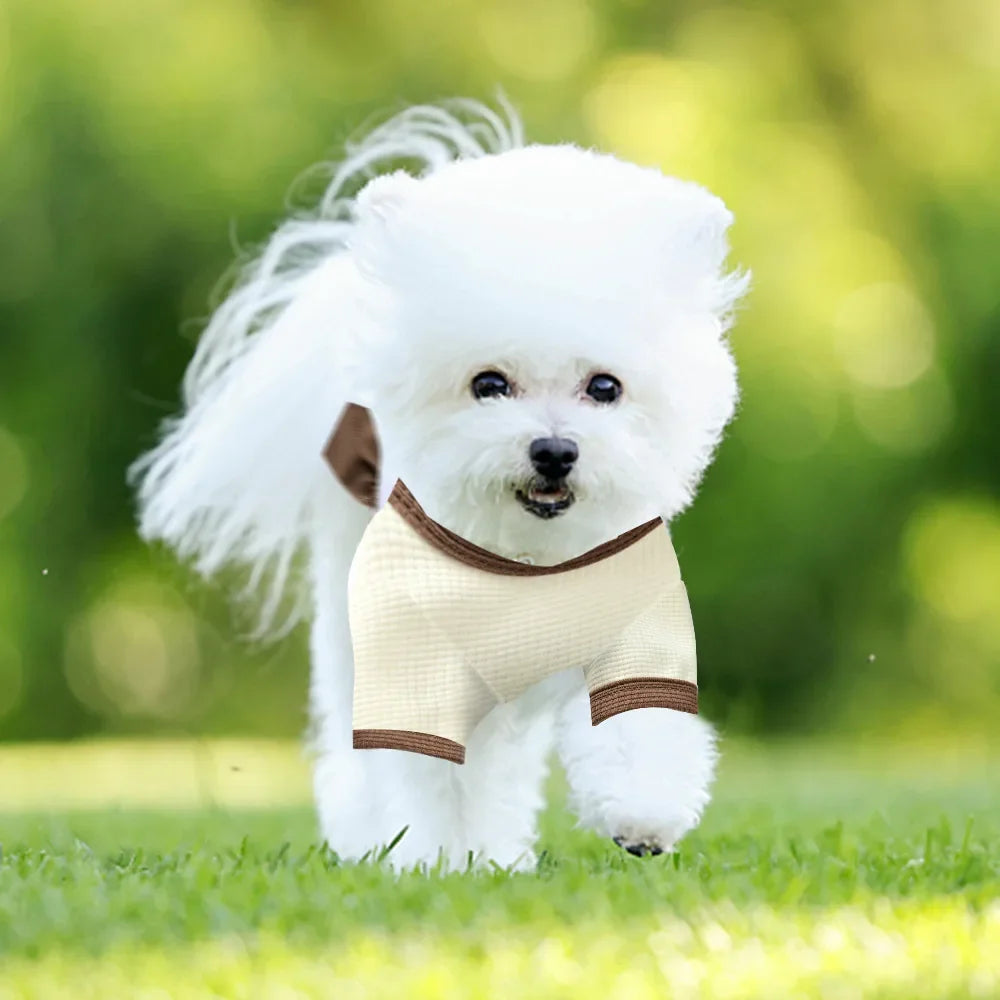 Floral Princess Dog Dress – Cute Summer Skirt Outfit for Small Dogs & Puppies, Wedding & Party Wear