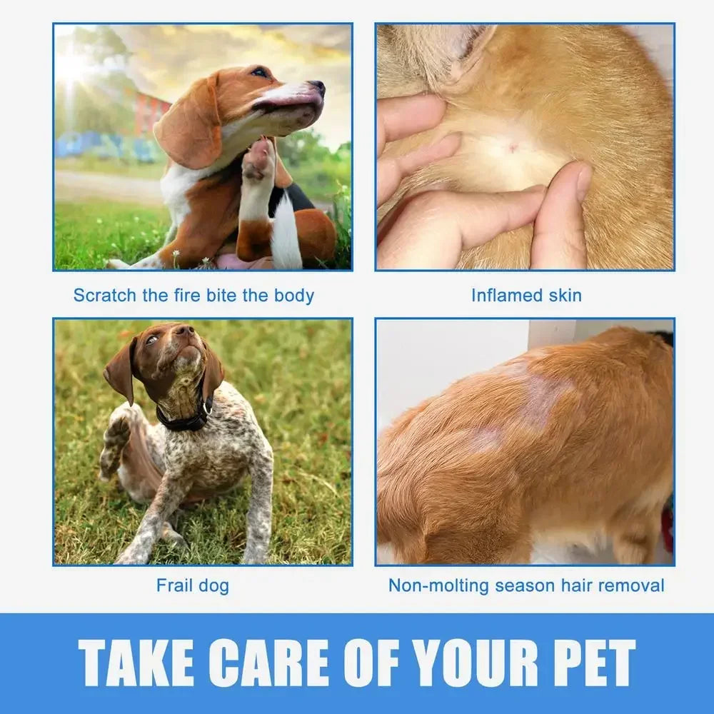 30ml Anti-Itch Spray for Dogs & Cats – Soothing Skin Relief for Itchy & Sensitive Skin