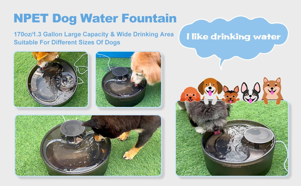 NPET DF10 Large Dog Water Fountain – 170oz / 5L Automatic Pet Water Dispenser for Dogs, Cats & Multiple Pets