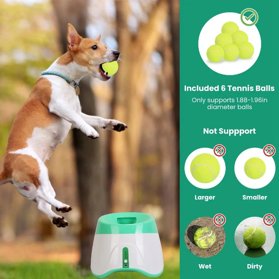 Interactive Pet Tennis Ball Launcher – Food Reward Machine & Training Toy for Dogs and Cat