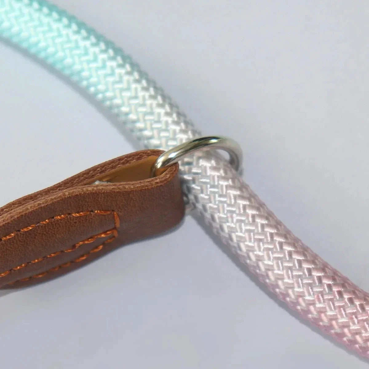 A colorful pet dog leash indoor and outdoor use