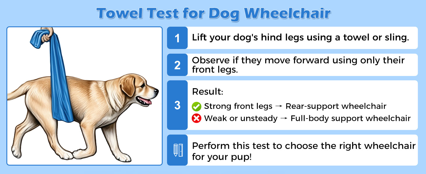 Adjustable Dog Wheelchair for Back Legs – Large Size with All-Terrain Wheels