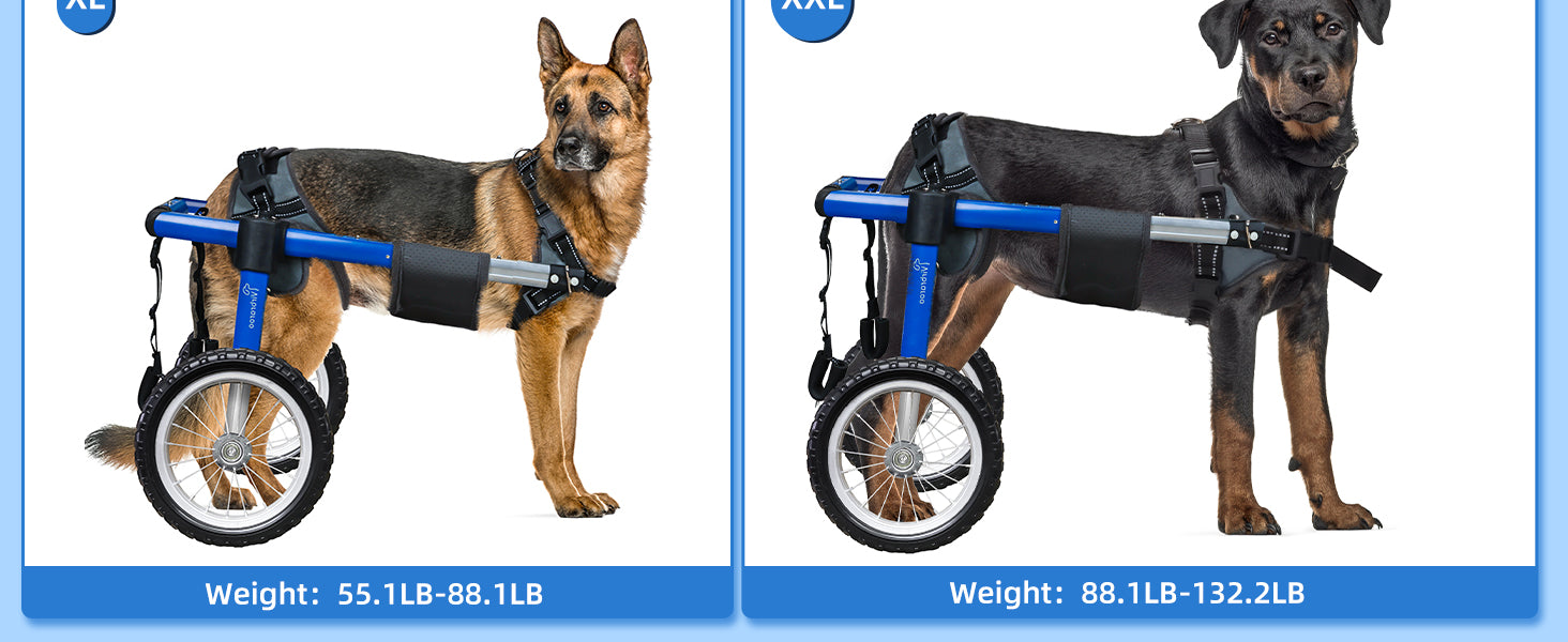 Adjustable Dog Wheelchair for Back Legs – Large Size with All-Terrain Wheels