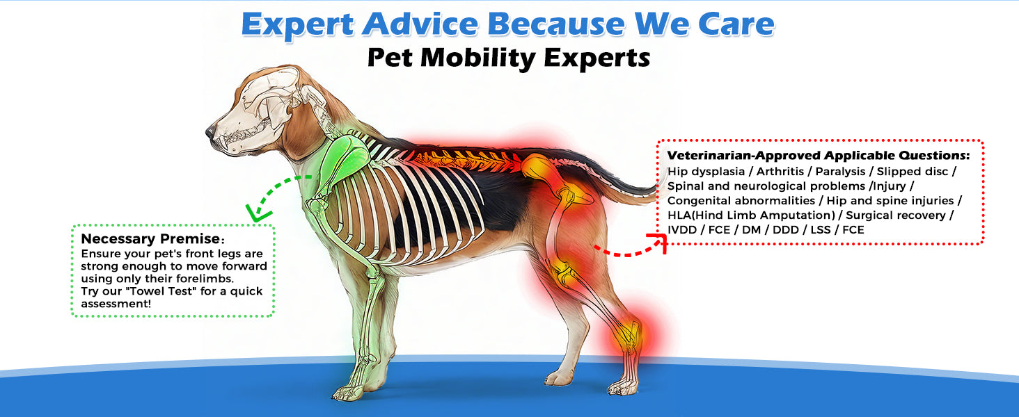 Adjustable Dog Wheelchair for Back Legs – Large Size with All-Terrain Wheels