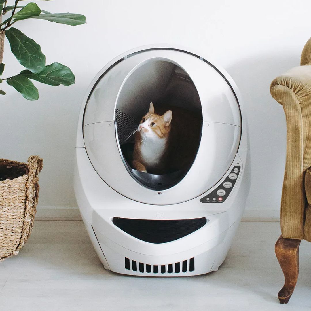 Pet Technology