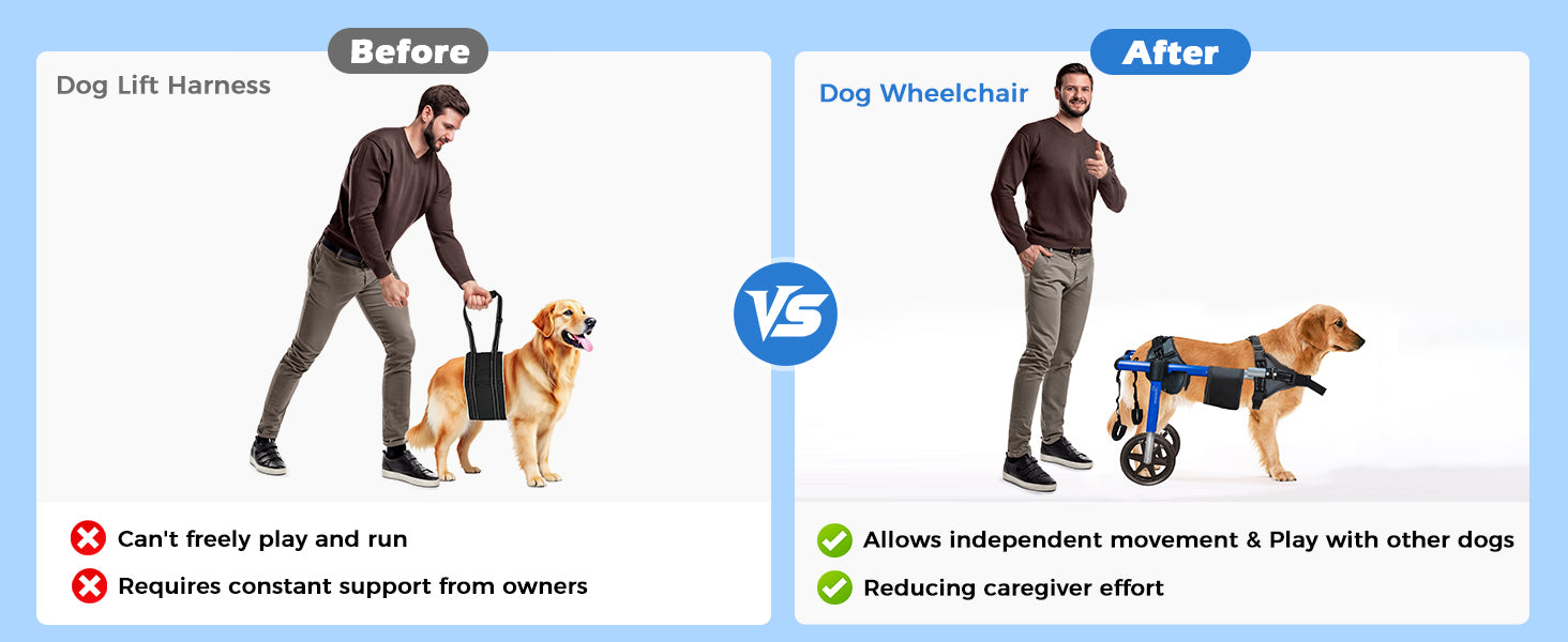 Dog Wheelchair for Back Legs – Large Breed Mobility Support with All-Terrain Wheels & Heavy-Duty Bearings