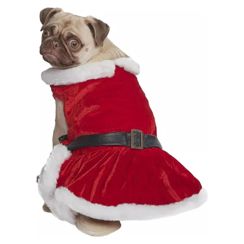 Mrs Claus Pet Dress