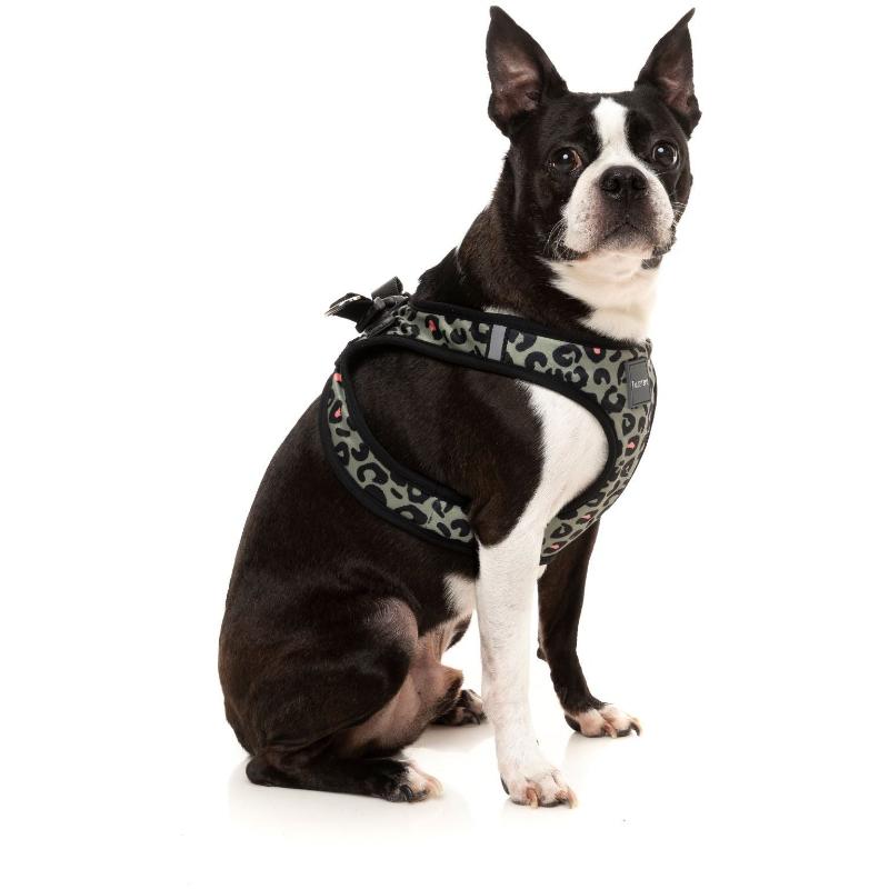Step In Dog Harness Savanna