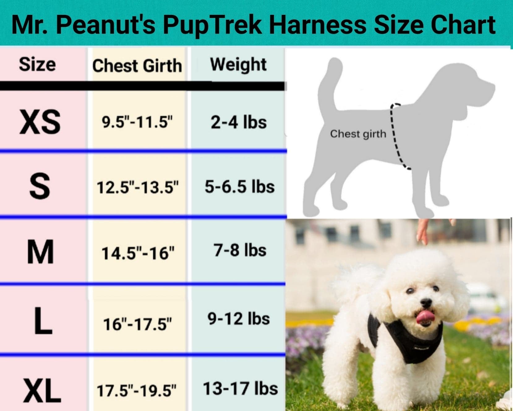 Mr. Peanut's PetTrek Soft Mesh Pet Harness with Matching Leash – Adjustable, Breathable, Choke-Free