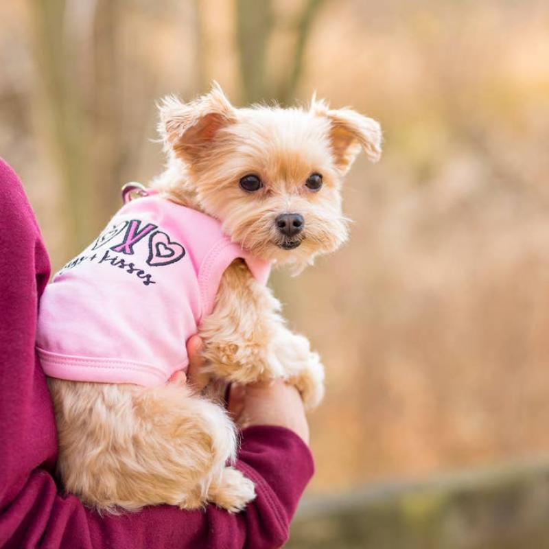 XOXO Pink Dog Tee