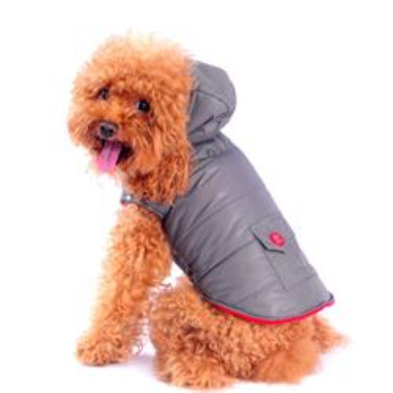 Dashing Hooded Dog Parka