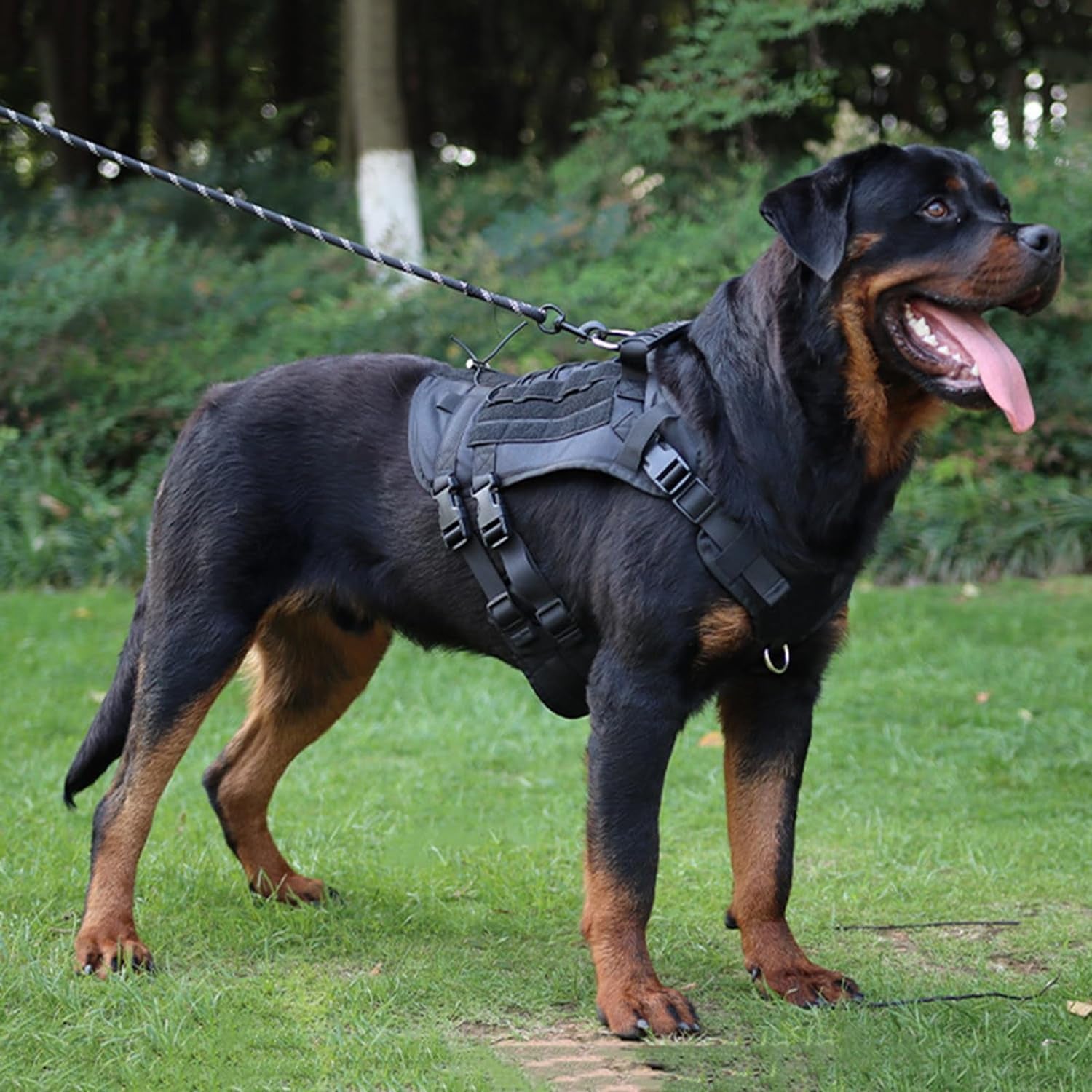 Durable Green Nylon Dog Harness – Medium Size with Heavy-Duty Rubber Handle for Comfort & Control