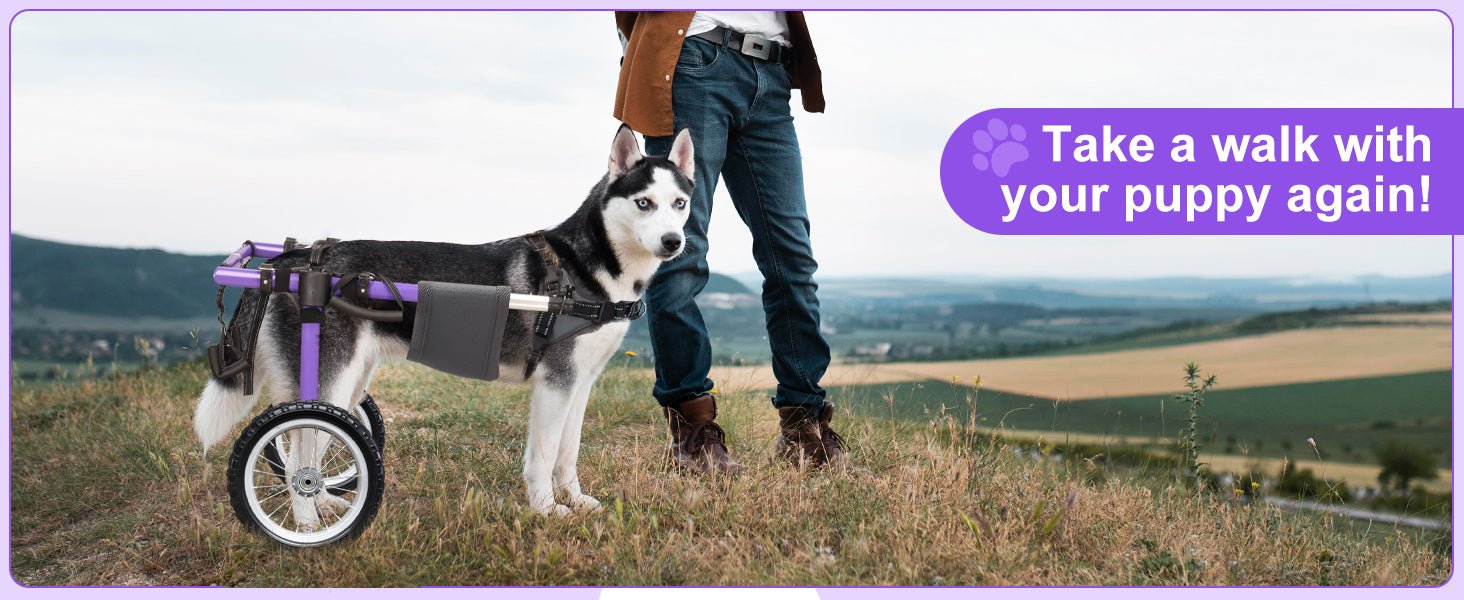Dog Wheelchair for Back Legs – Lightweight Aluminum Frame with All-Terrain Wheels | Mobility Support for Large Dogs