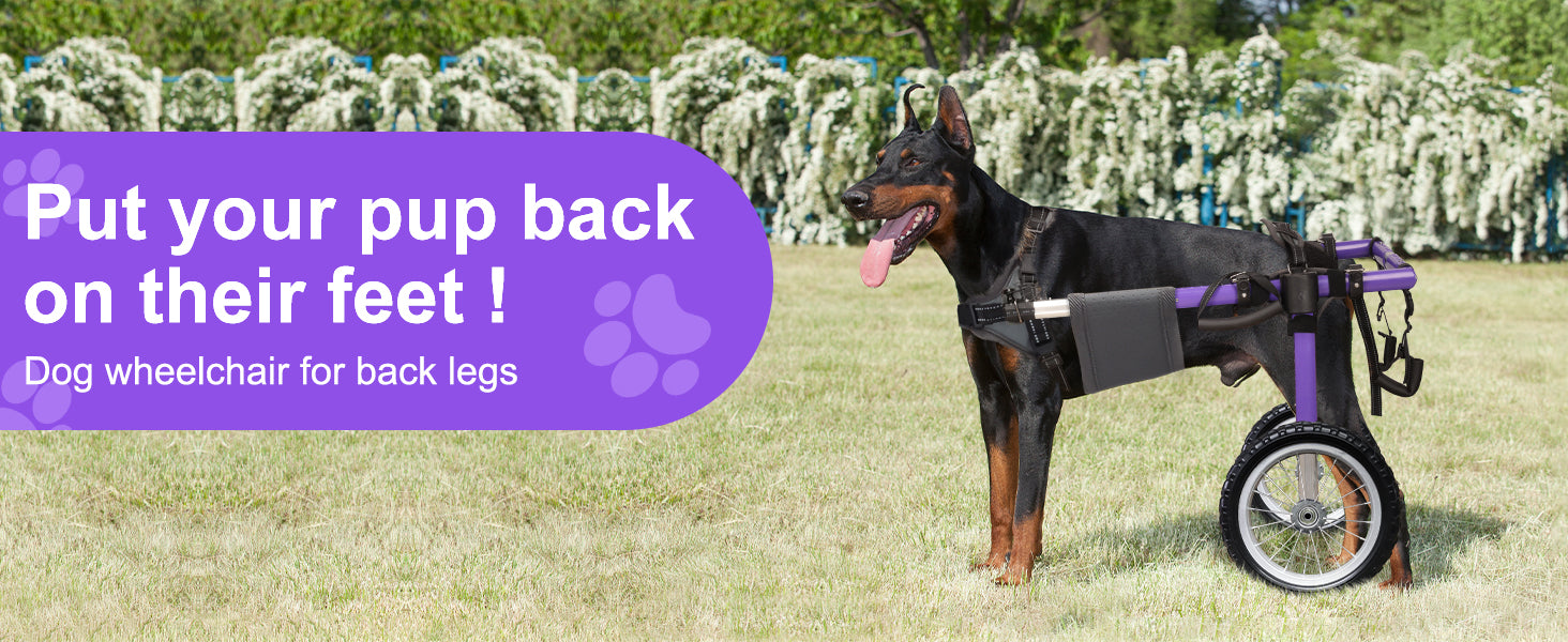 Dog Wheelchair for Back Legs – Lightweight Aluminum Frame with All-Terrain Wheels | Mobility Support for Large Dogs