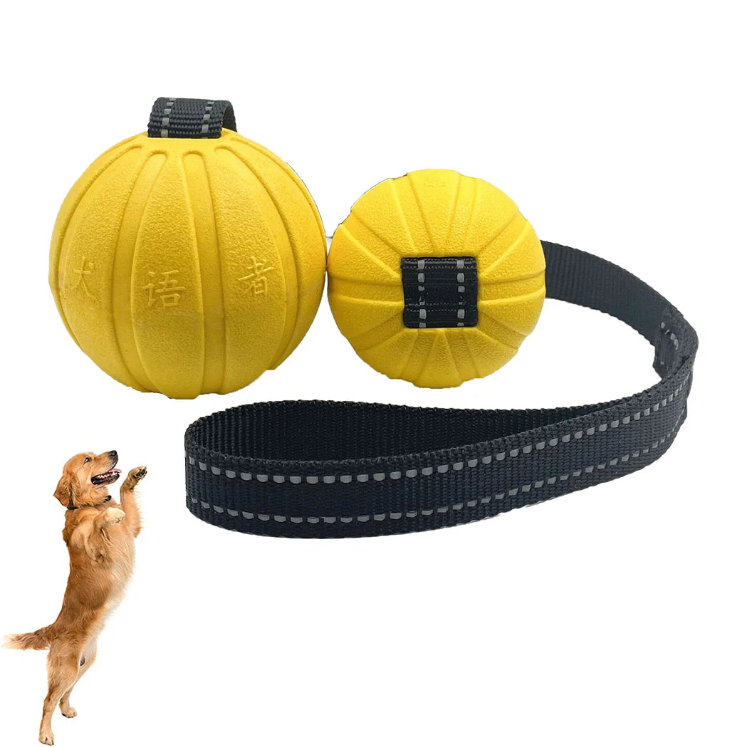 Dog Toy Ball on a Rope – Durable EVA Foam Ball for Training, Chewing & Fetch (Floats on Water)