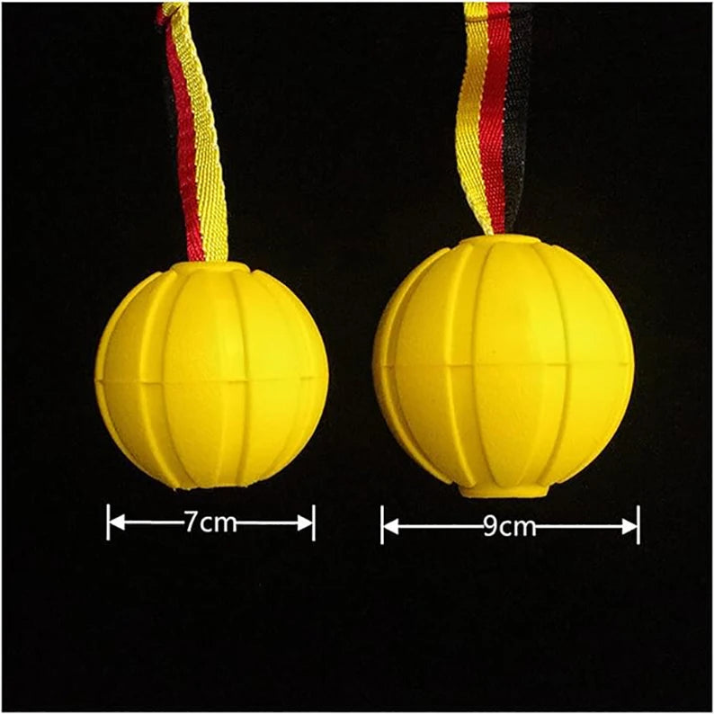 Dog Toy Ball on a Rope – Durable EVA Foam Ball for Training, Chewing & Fetch (Floats on Water)