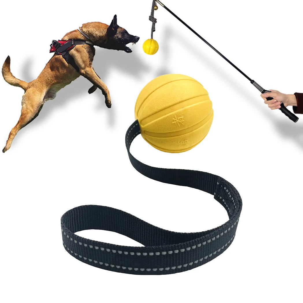 Dog Toy Ball on a Rope – Durable EVA Foam Ball for Training, Chewing & Fetch (Floats on Water)