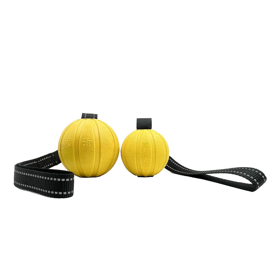Dog Toy Ball on a Rope – Durable EVA Foam Ball for Training, Chewing & Fetch (Floats on Water)