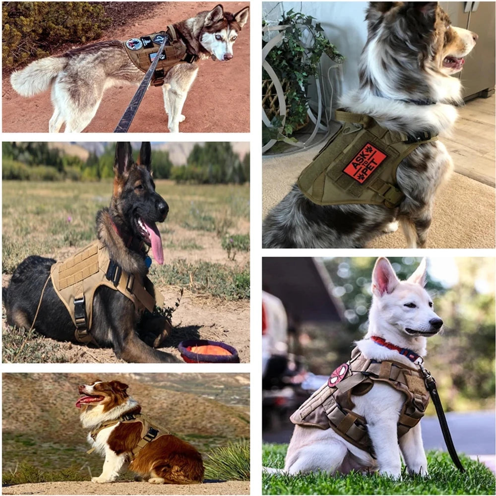 Tactical Dog Harness Set – Collar, Leash & Vest for Large and Small Dogs