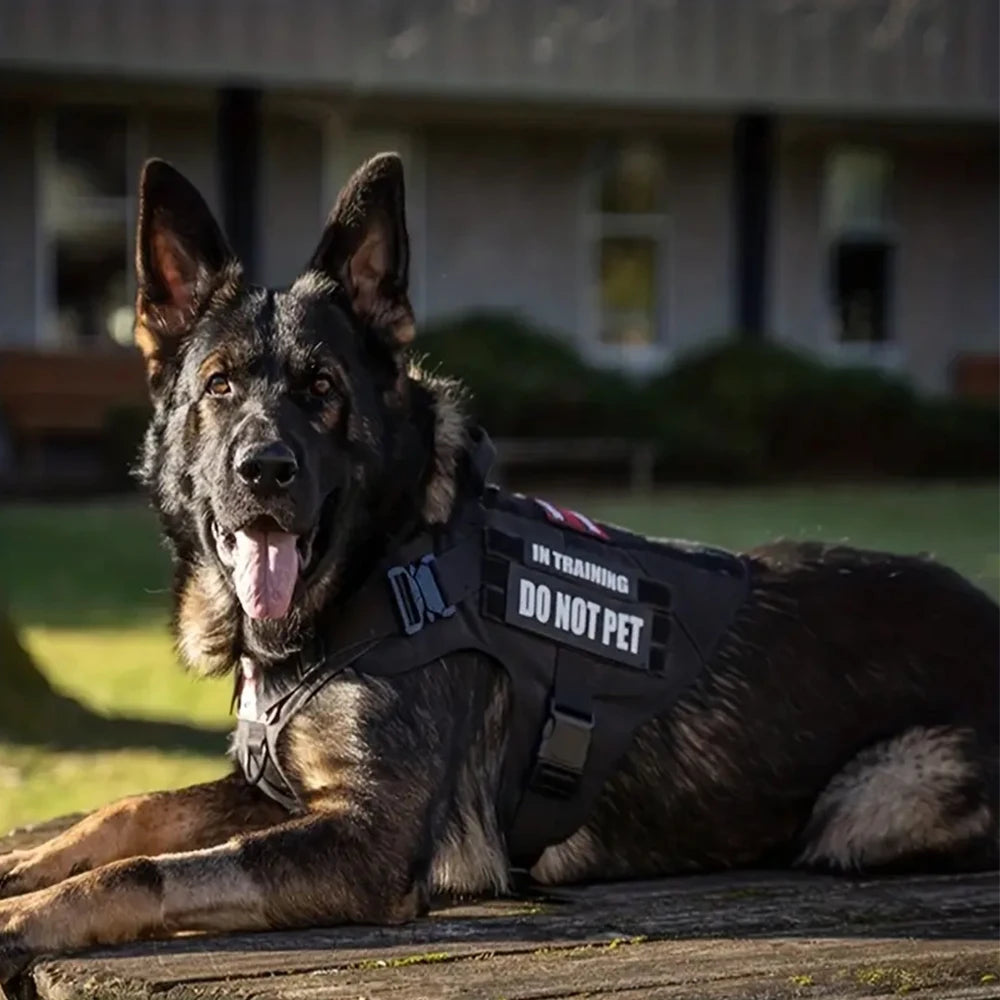 Tactical Dog Harness Set – Collar, Leash & Vest for Large and Small Dogs