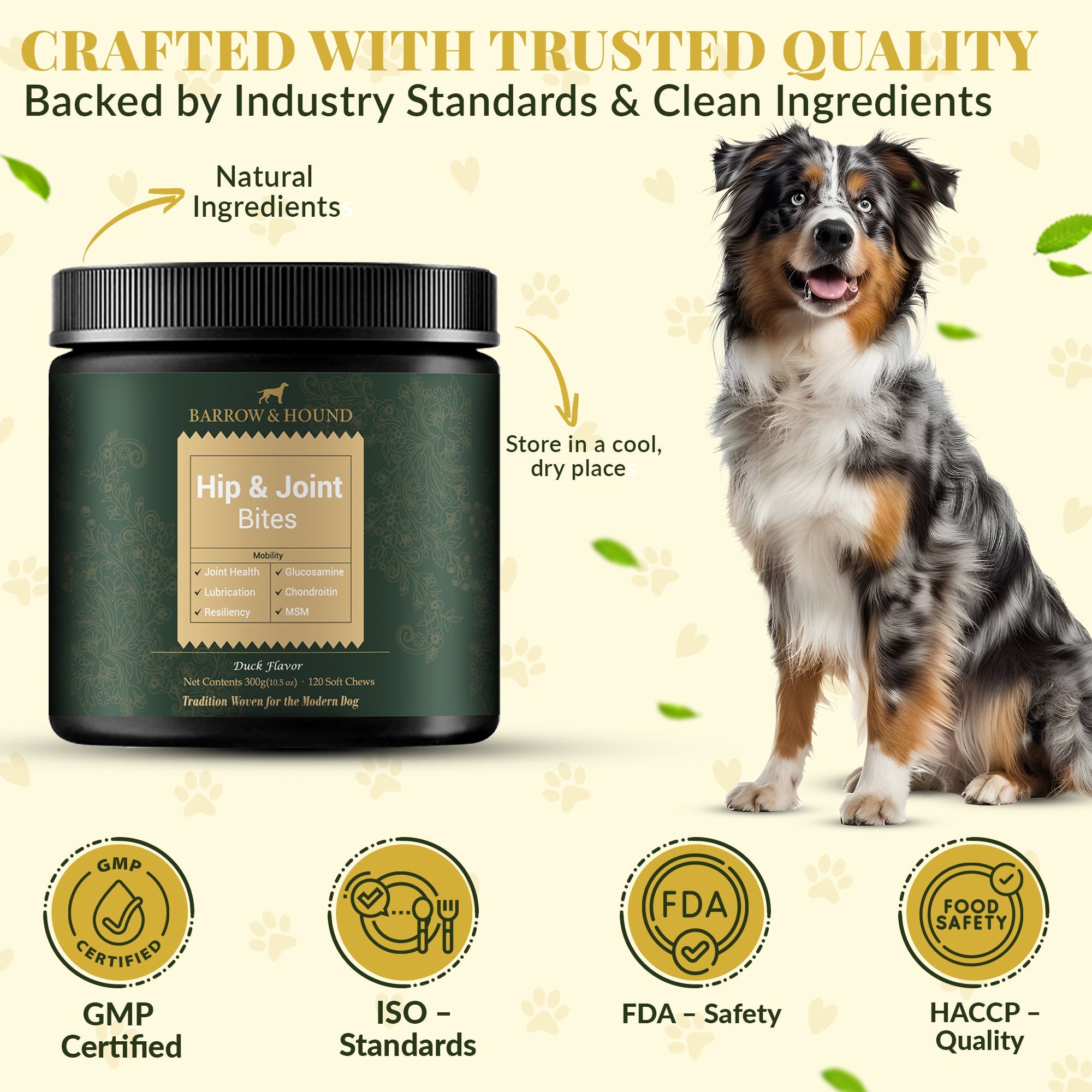 Hip & Joint Supplement for Dogs – Mobility Support for All Breeds