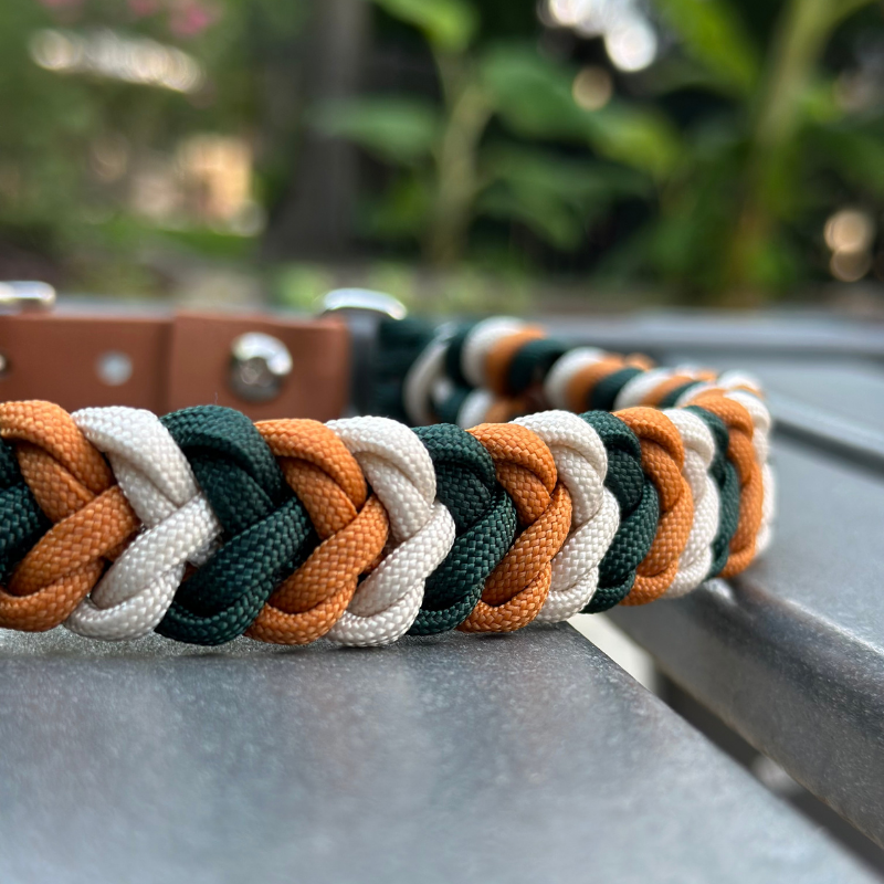 Coiled Charm Hand Braided Dog Collar in Hunter Green, Mustard, & Cream