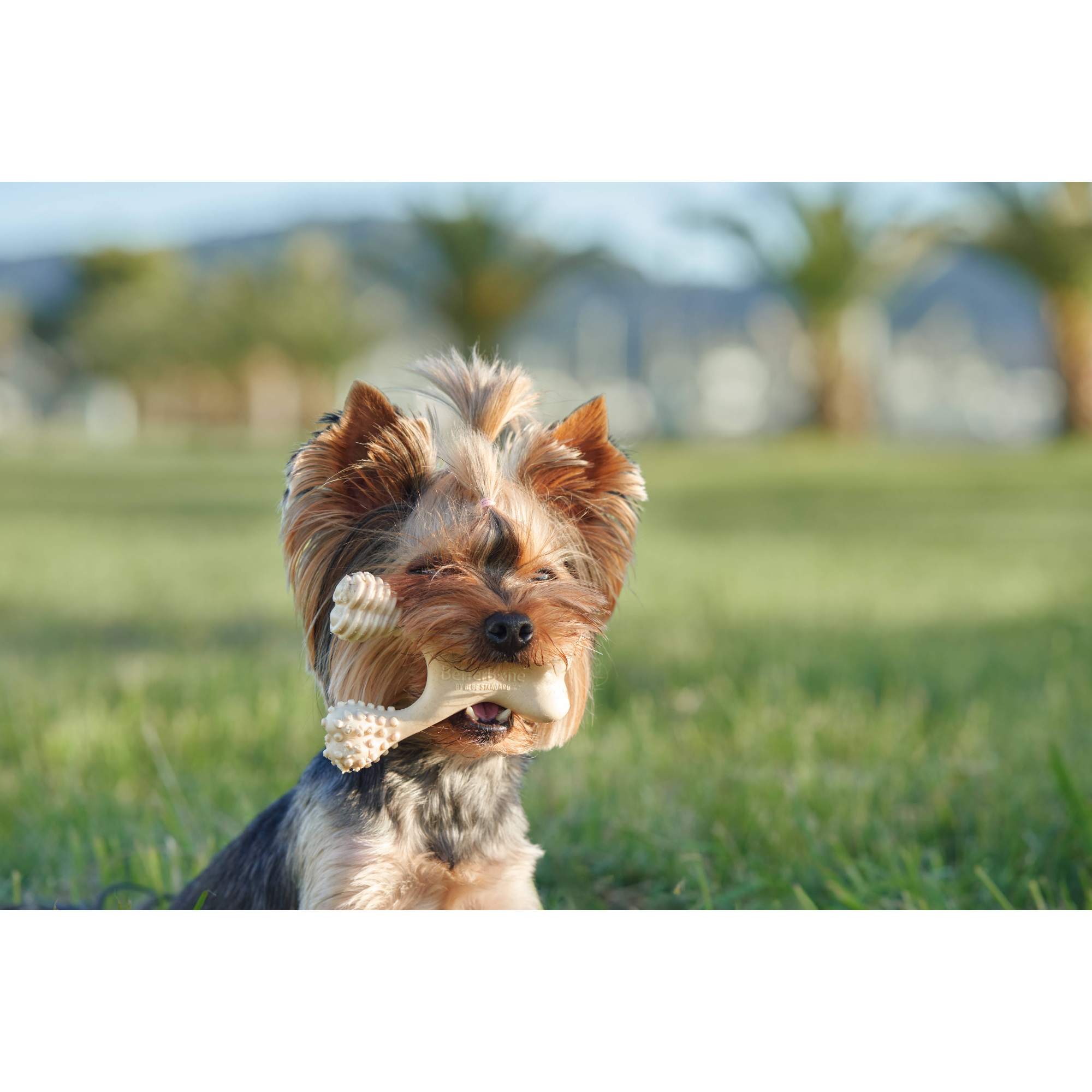 BetterBone HARD CHEW TOY: Natural Ingredients, eco-friendly, and ultra-durable chew for the toughest chewers!