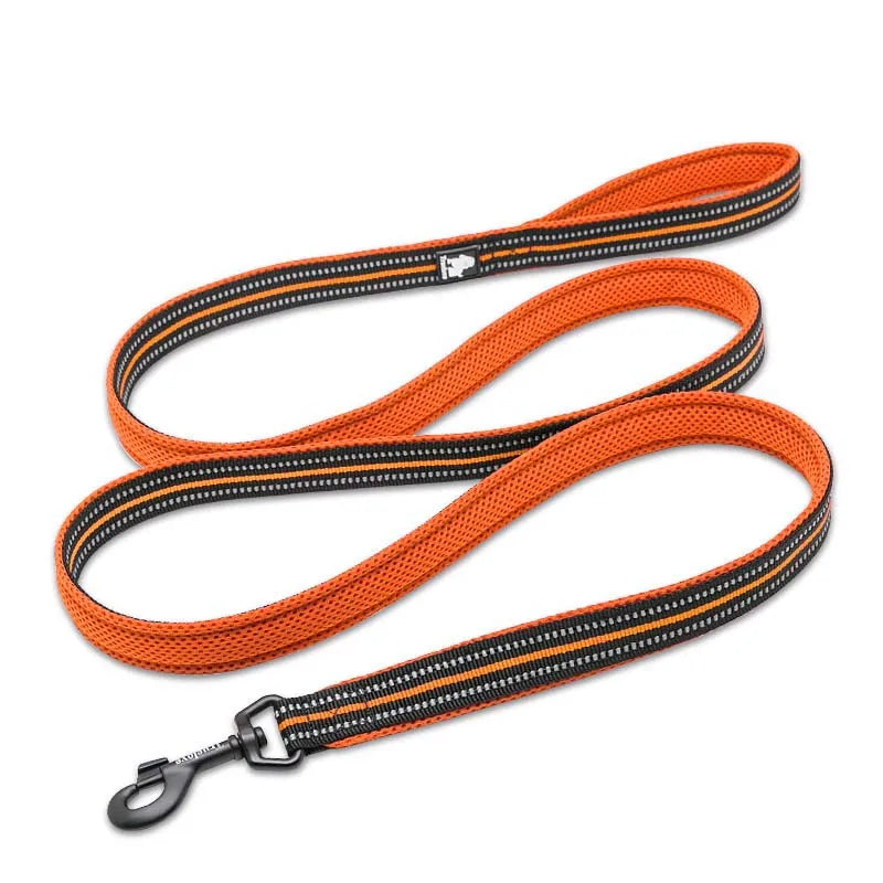 Truelove Mesh Nylon Dog Leash – Double Thickness Reflective Training Lead 200cm