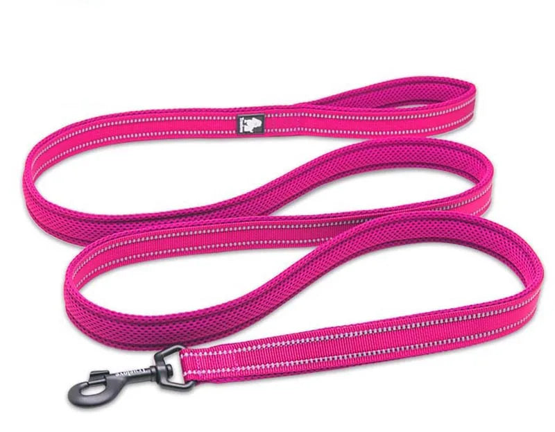 Truelove Mesh Nylon Dog Leash – Double Thickness Reflective Training Lead 200cm