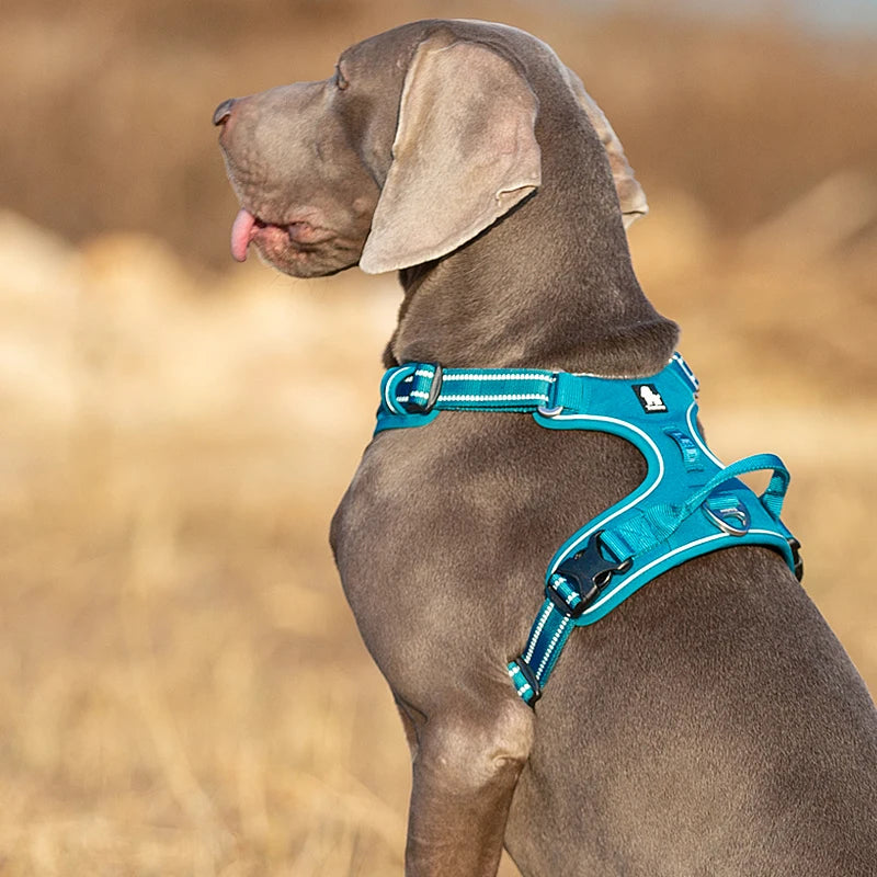 Truelove Reflective Dog Harness – Adjustable No-Pull Nylon Vest with 3M Reflective Webbing (TLH56512)